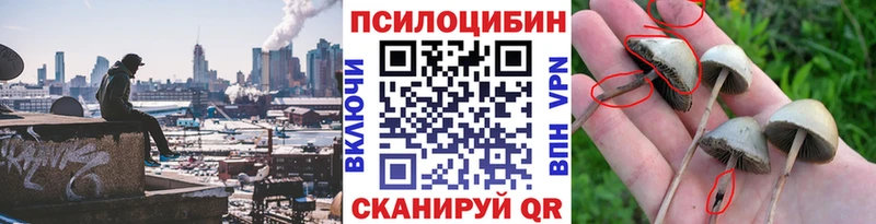 что такое наркотик  kraken ССЫЛКА  Псилоцибиновые грибы прущие грибы  Щёлково 